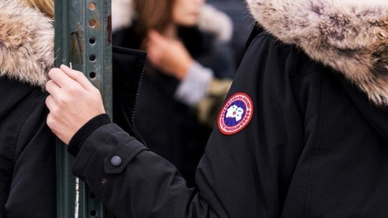 北京街头为什么跑满 “加拿大的鹅”?